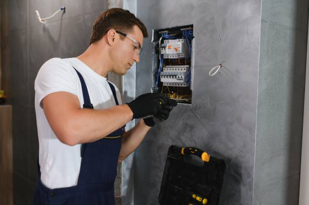 Best Electrical System Inspection  in Taylor Creek, OH